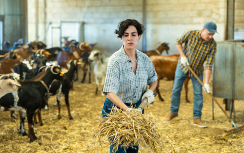 Agriculteurs : ce qui est fait pour leur santé mentale